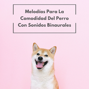 Relajación Rítmica Para Tu Cachorro