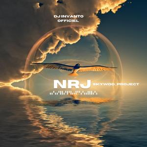 NRJ (feat. Skywoo_project)