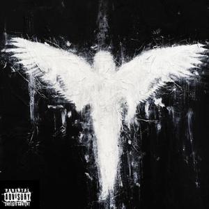 ANGELICAL