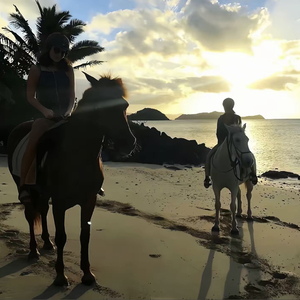 202604282209 (1).wav