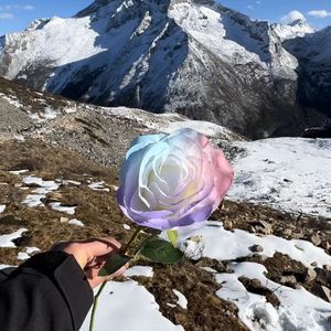 辞九门回忆（DJ阿樂版）