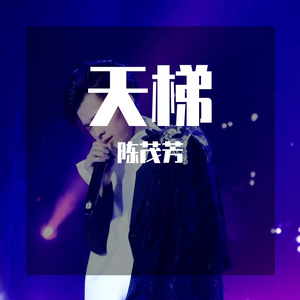 天梯