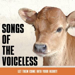 The Song You Never Heard