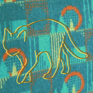 Cats Step Slowly
