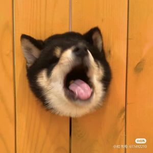 喜欢你_音质_裁剪_1