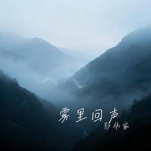 雾里回声
