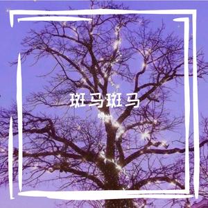 斑马 斑马（翻自 宋冬野）
