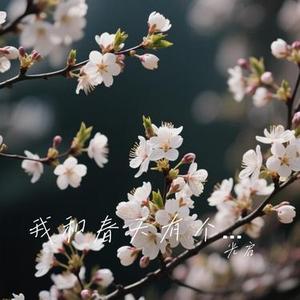 我和春天有个约会 (光启 Remix)