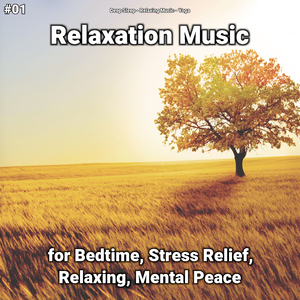 Relaxation Music, Pt. 75