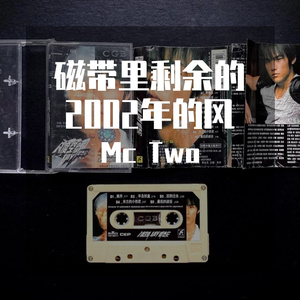 磁带里剩余的2002年的风