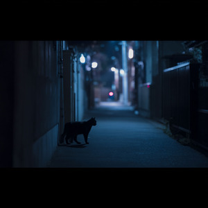 月影のぬけみち