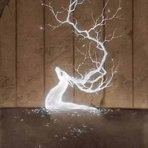 卿卿日常（钢琴）