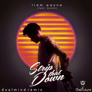 Strip That Down (Dualmind Remix)