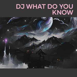 Dj What do You Know