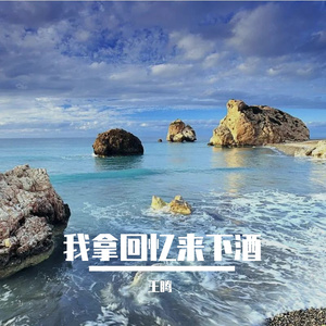 我拿回忆来下酒 (烟嗓版)