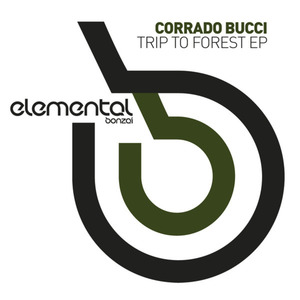 Trip To Forest (Original Mix)