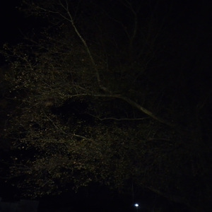 Situaciones Inoportunas