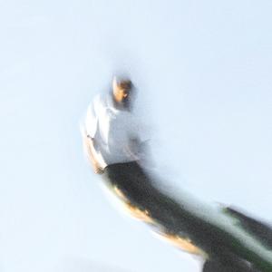 non mi riconosci (feat. aion.knw)