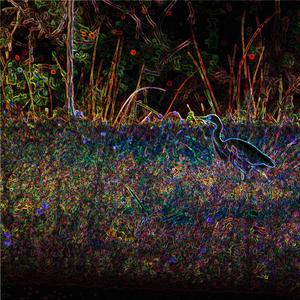 Sprank