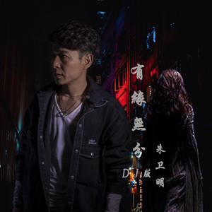 有缘无分 (DJ伯格版)