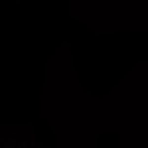 停留属于7的位置