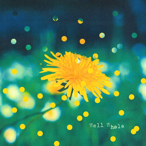 ⁠A Brighter Summer Day