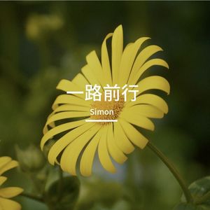 生命一路向前 伴奏