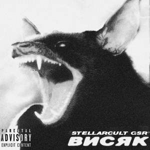 ПОДСЕЛ НА ЧТО-ТО