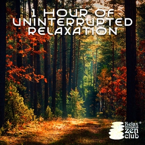 Affirmation: You Are Amazing