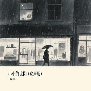 小小的太阳  (女声版) (Cover 李雨婷)