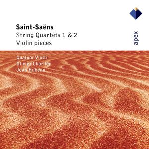 Violin Sonata No. 1 in D Minor, Op. 75:I. Allegro agitato