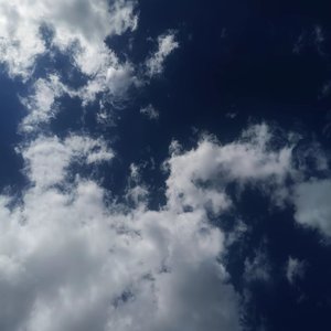 Dark  sky