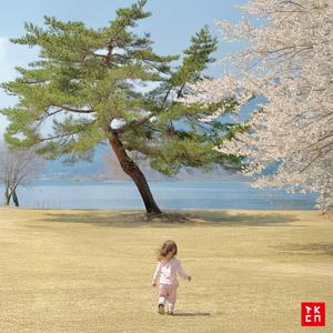 The Flower, The Bird and The Mountain