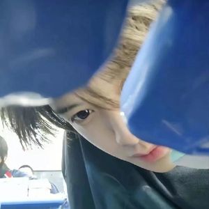 秋日余晖的告别