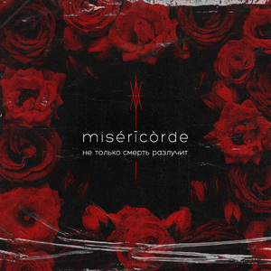 5 (друг другу)