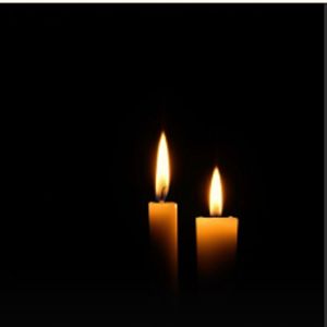 Дуб могучий