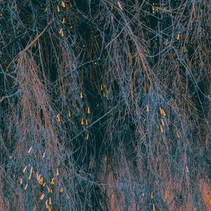 SLOW DANCING IN THE DARK