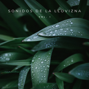 Solo Lluvia