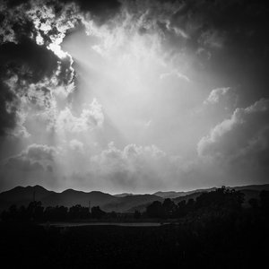 春从天上来-吴激(宋)-72