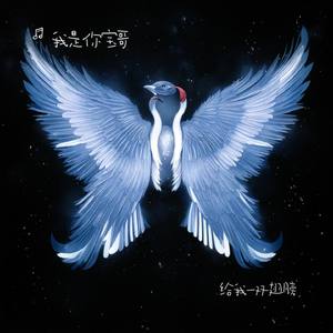 给我一双翅膀