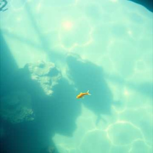 違う場所で、違うまま