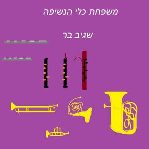 משפחת כלי הנשיפה