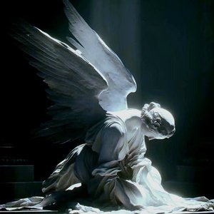 Fly into the Blazing Love（带中文翻译版）