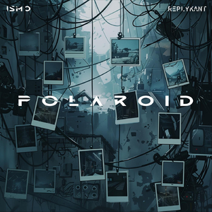 Polaroid