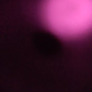 小河狸贝瓦-宝贝宝贝（DJ翻唱）（龙驰 remix）