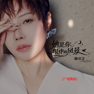 她是你眼中的风景（广场舞版）