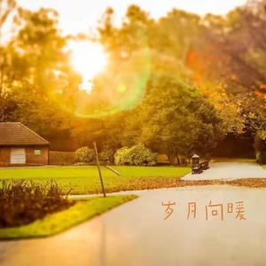 岁月向暖