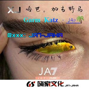 李寒-《8D劲爆环绕》神曲重低音版（JA7-JAHA remix）