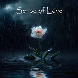 Sense of Love
