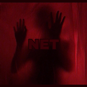 Net